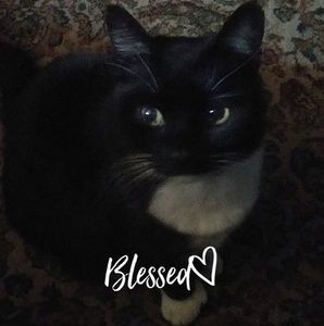 Meet your Posher, Ann